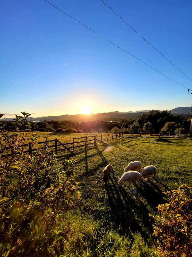 Oaklane Glamping Cabins เคนแมร์ ภายนอก รูปภาพ